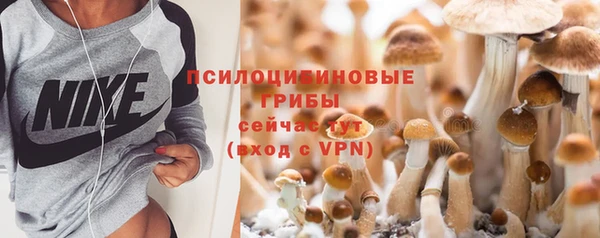 молекула духа Вязники