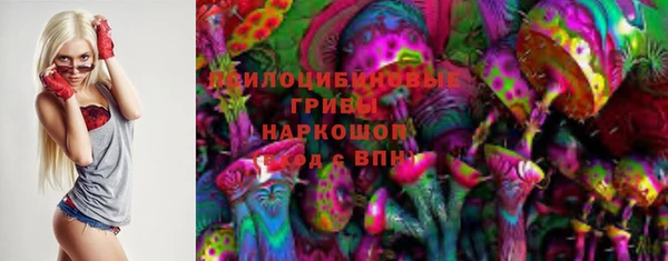 молекула духа Вязники